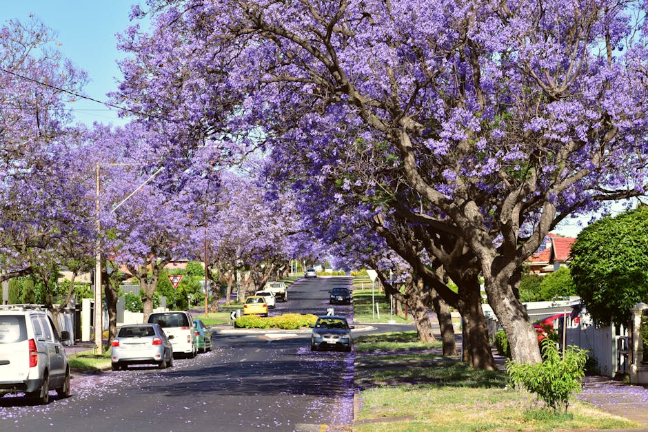 Garage door services in Reynella, Adelaide